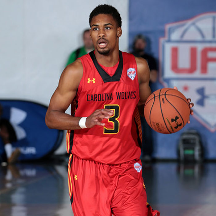 Seventh Woods