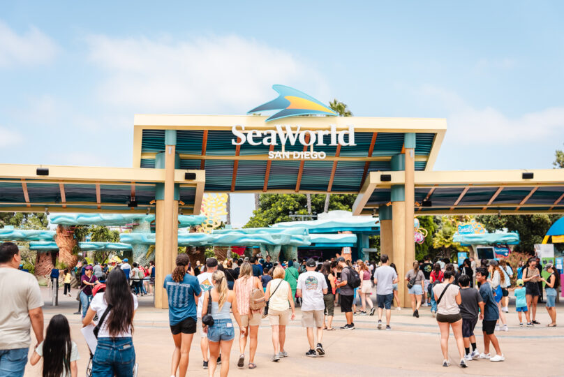 Ballislife X SeaWorld High School All-American