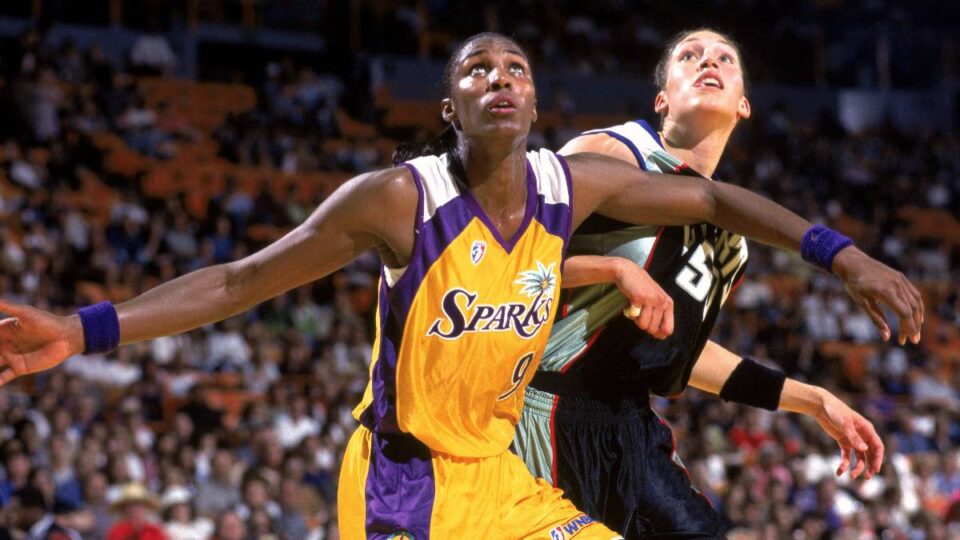 The WNBA Turns 30! How the League is Celebrating with Merchandise, Court Designs & More!