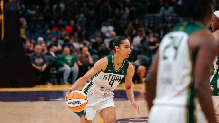 Skylar Diggins WNBA