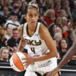 Chicago Sky's Struggles Put Their Win-Now Gamble Under the Microscope