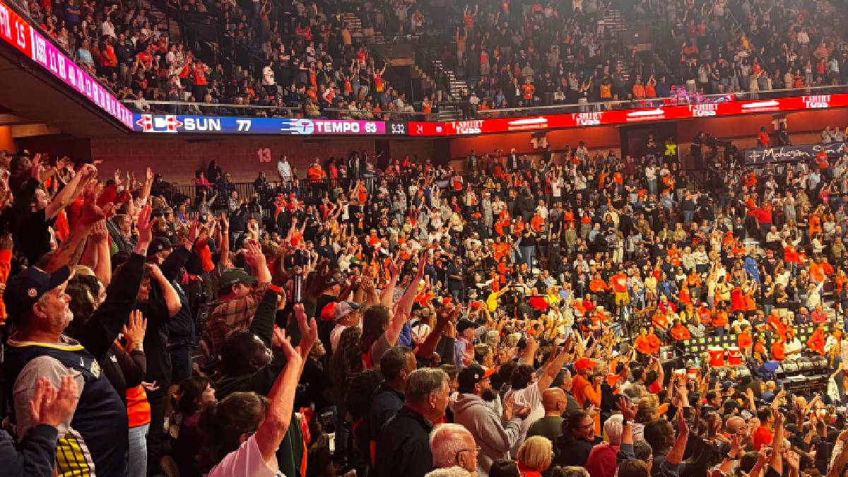 CT Sun Fan Base
